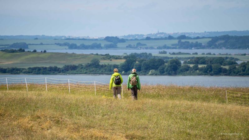 Auf der Halbinsel Mönchgut